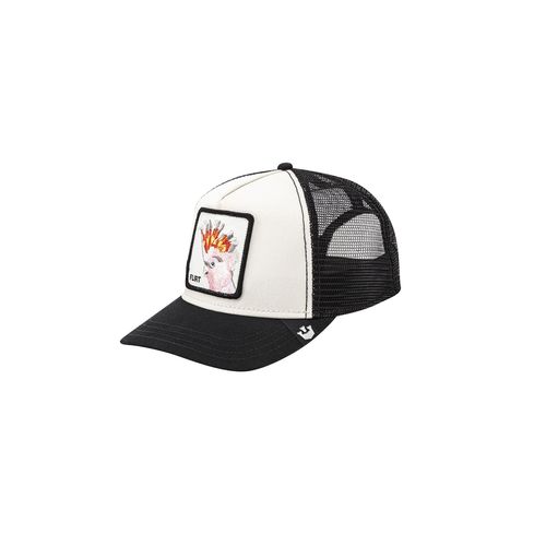 Gorra Goorin Bros Baseball The Flirty Bird