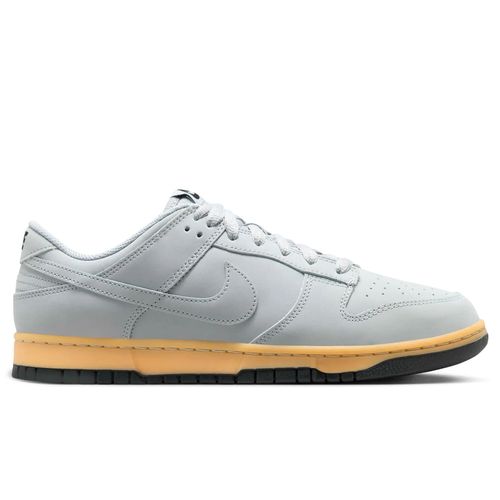 Zapatillas Nike Dunk Low Retro Se Hombre